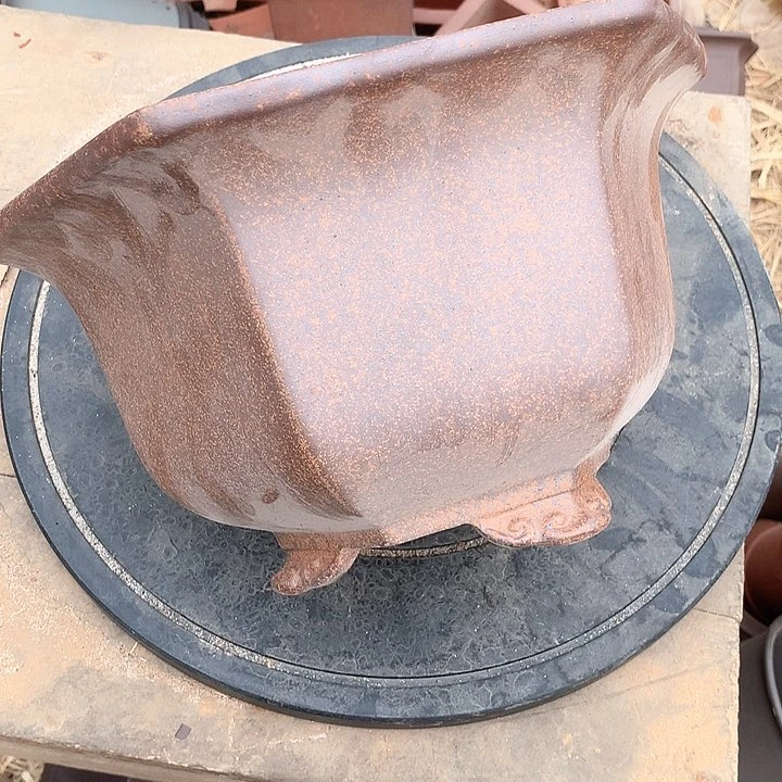 紫砂昭**哥优秀人才脱颖而出，哈哈