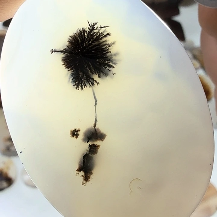 未镶嵌玛瑙/玉髓珠宝半成品