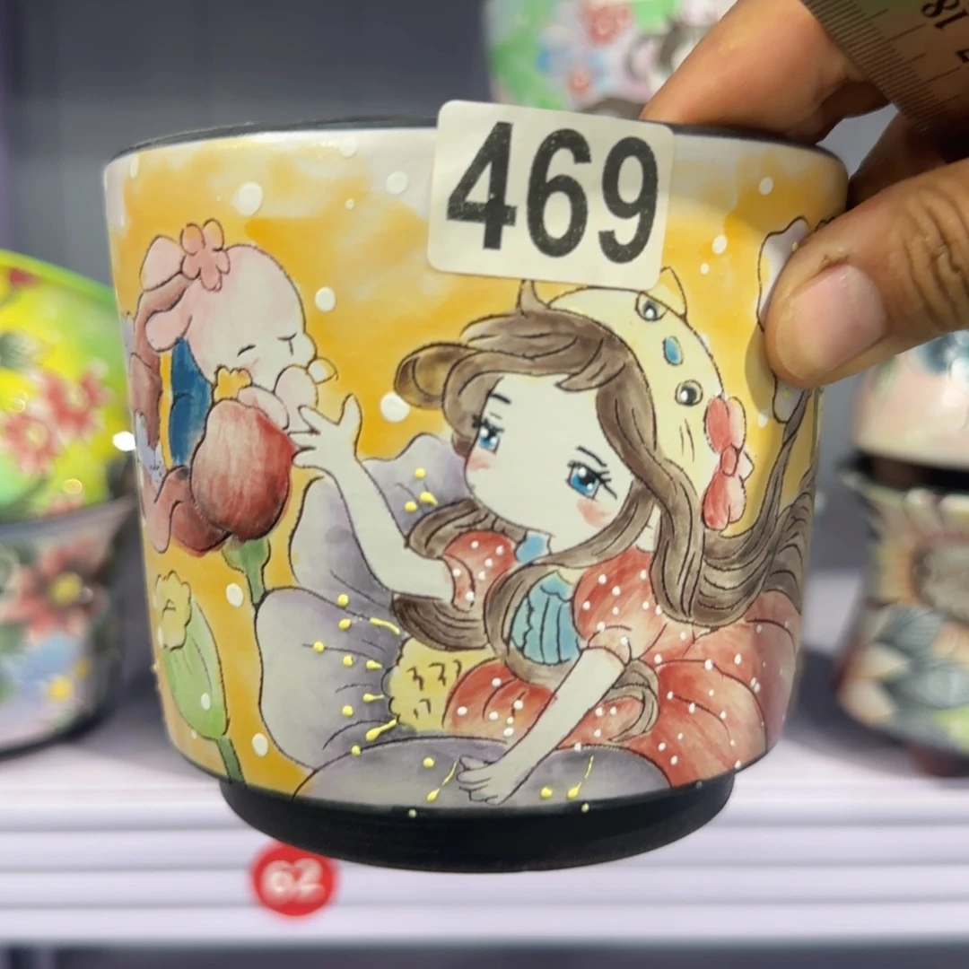 啦***5田小姐多肉花盆的