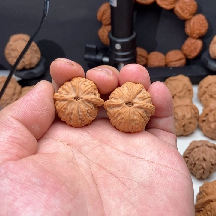 把件文玩核桃没**号福宝30