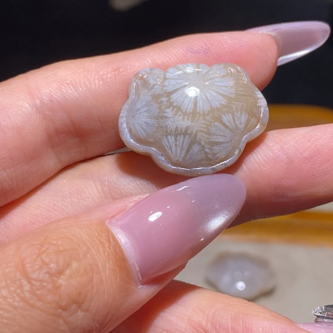 【闪购商品】硅化玉珊瑚玉 未镶嵌