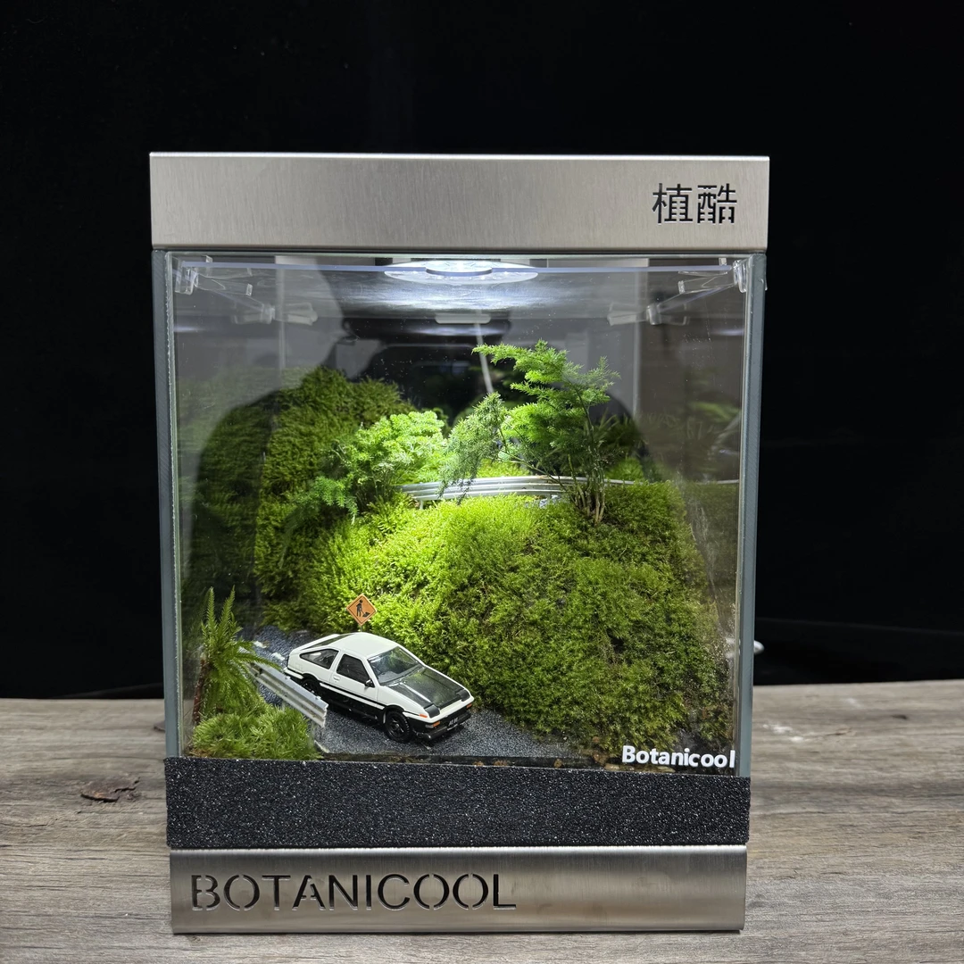 BOTANICOOL植酷创意苔藓微景观牛马打工人礼物桌面植物秋名山AE86