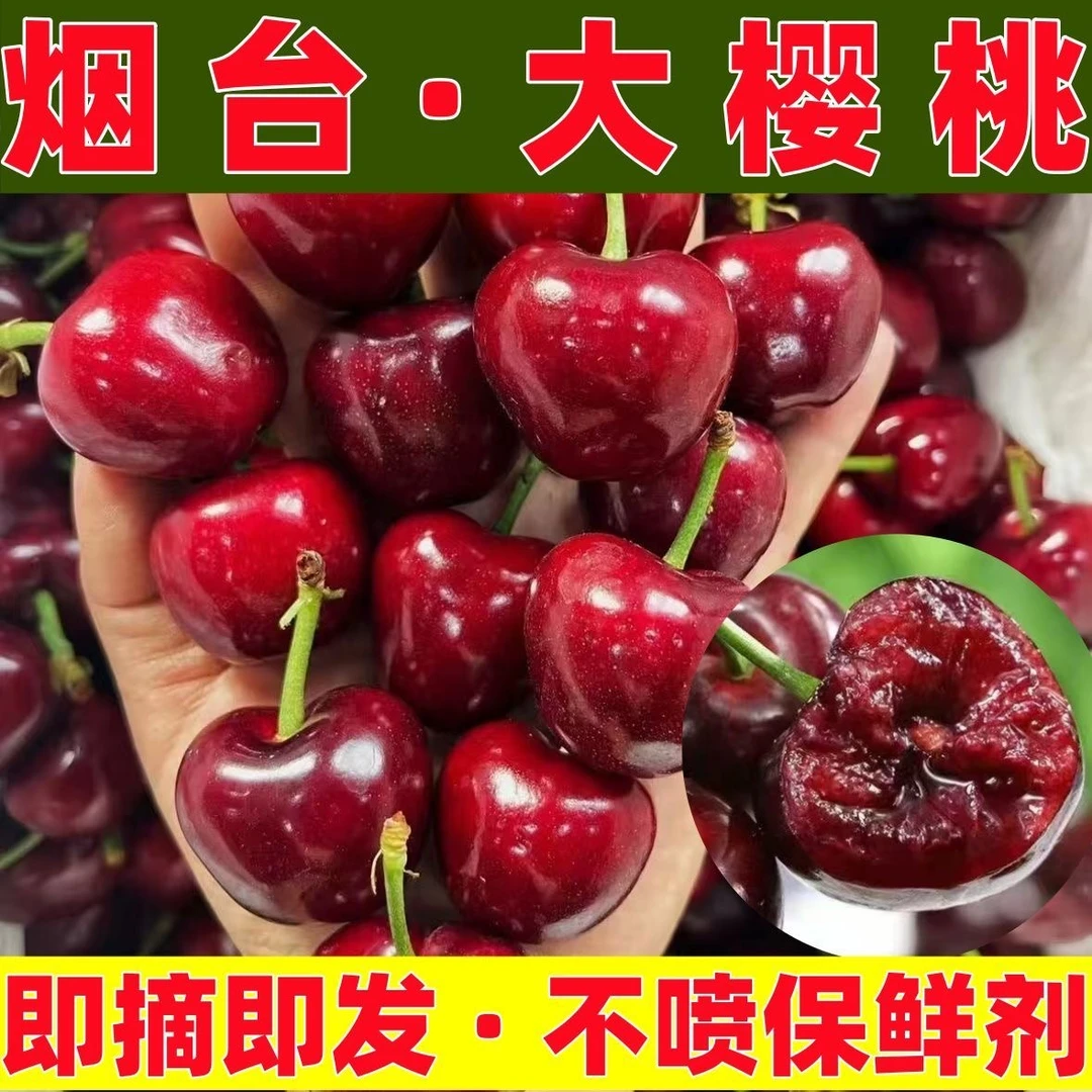 【航空冷链】烟台美早大樱桃应季新鲜水果5斤AZ1