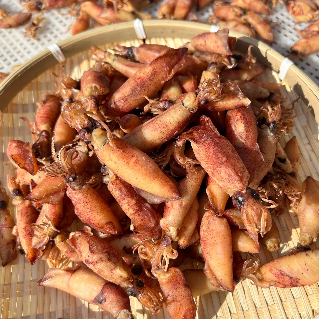 熟晒本港小船照灯鱿鱼 灯光鱿鱼子 一口鱿鱼 海捕野生有大有小