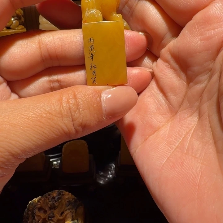 辉***坊寿山石印石古兽印章