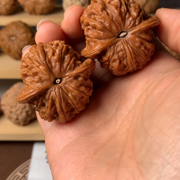 A***a大叶紫檀（黑酸枝木类）血麒麟1