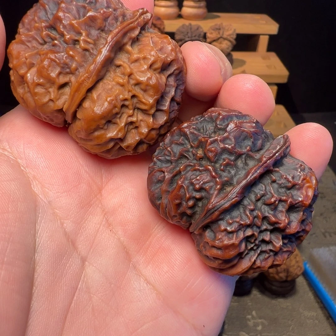 把件文玩核桃鬼脸王金蟾45mm