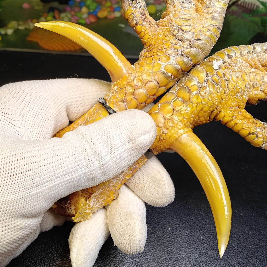 沉醉骨艺鸡爪骨黄色一对