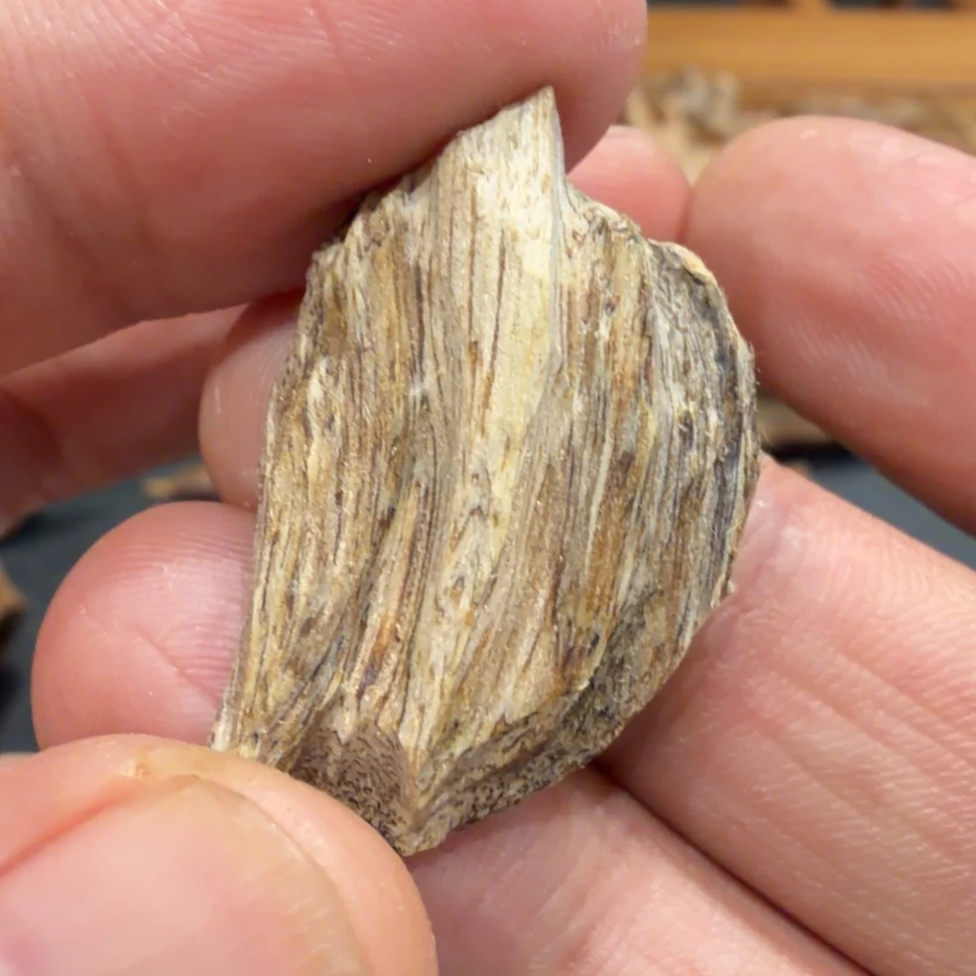 树脂制品广西博白虎斑棋味道一流 1.19 克