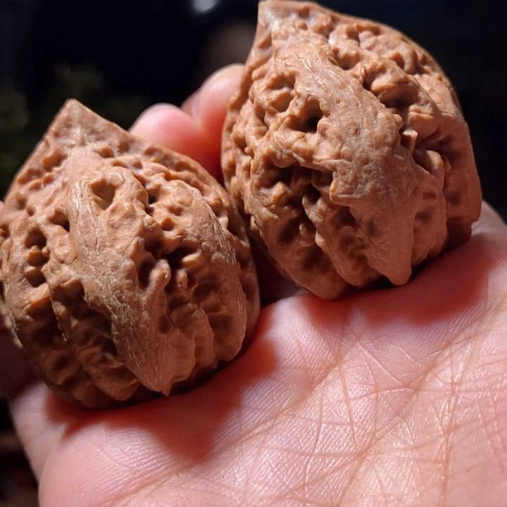 文玩核桃把件东北楸子小路28