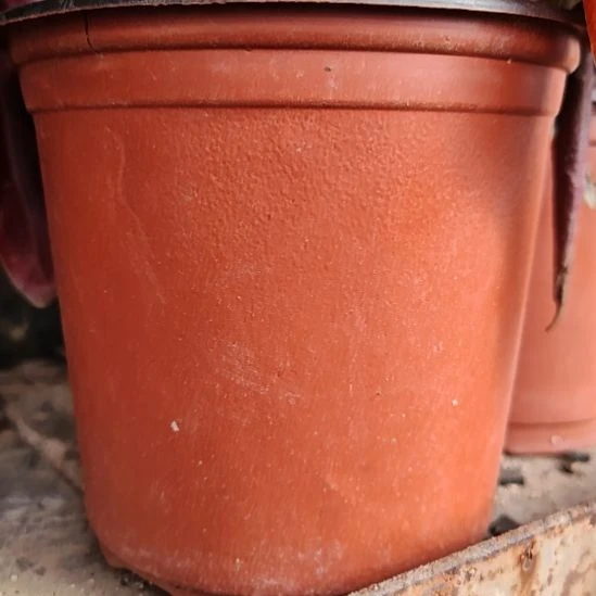 0-零下5℃保温必拍