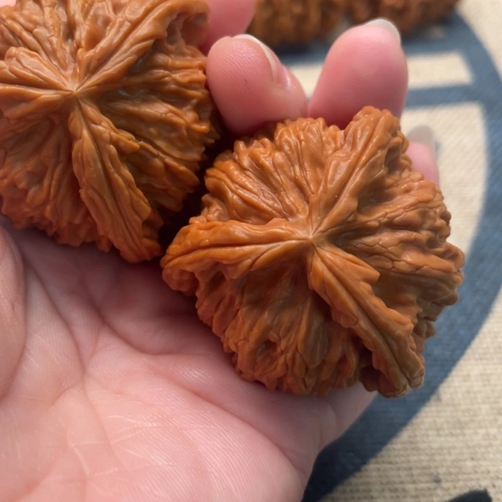 顺***为核桃白狮子43核桃