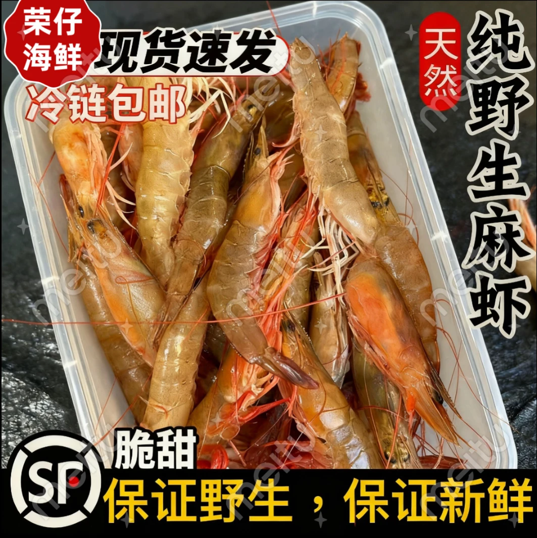 净重3斤 麻虾沙卢虾 顺丰速冻锁鲜发货 （凡）