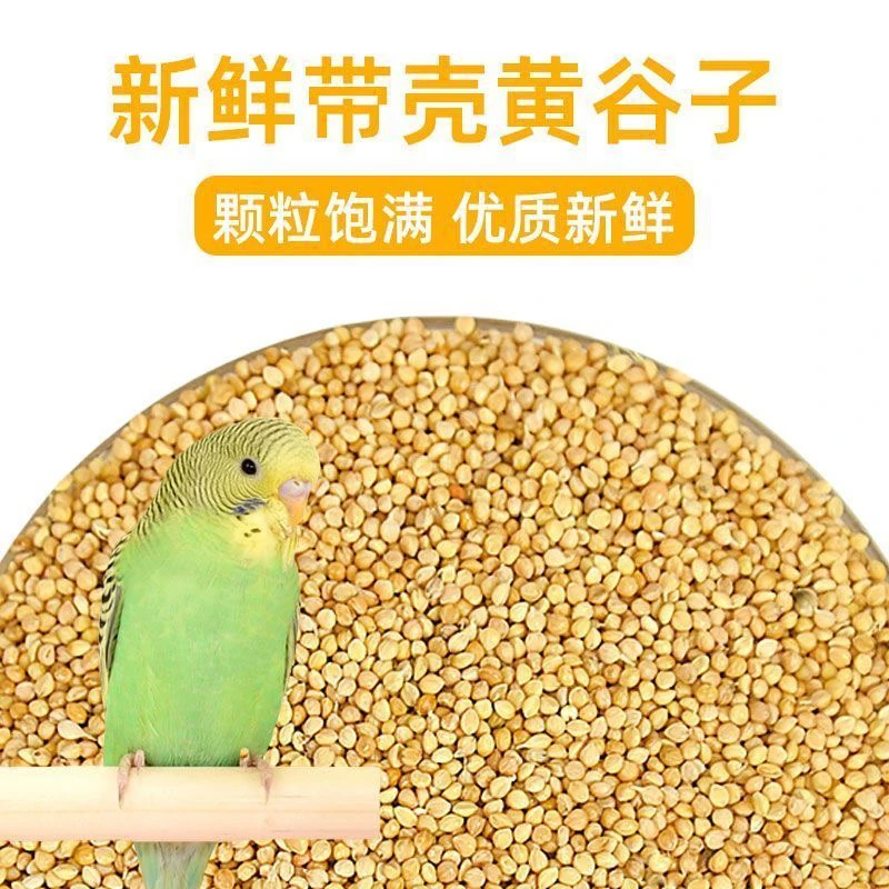 鹦鹉专用鸟粮黄谷子2斤装/5斤装