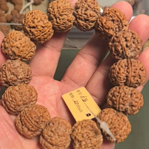 金刚菩提手串六瓣大金刚手串，23左右，原皮原色