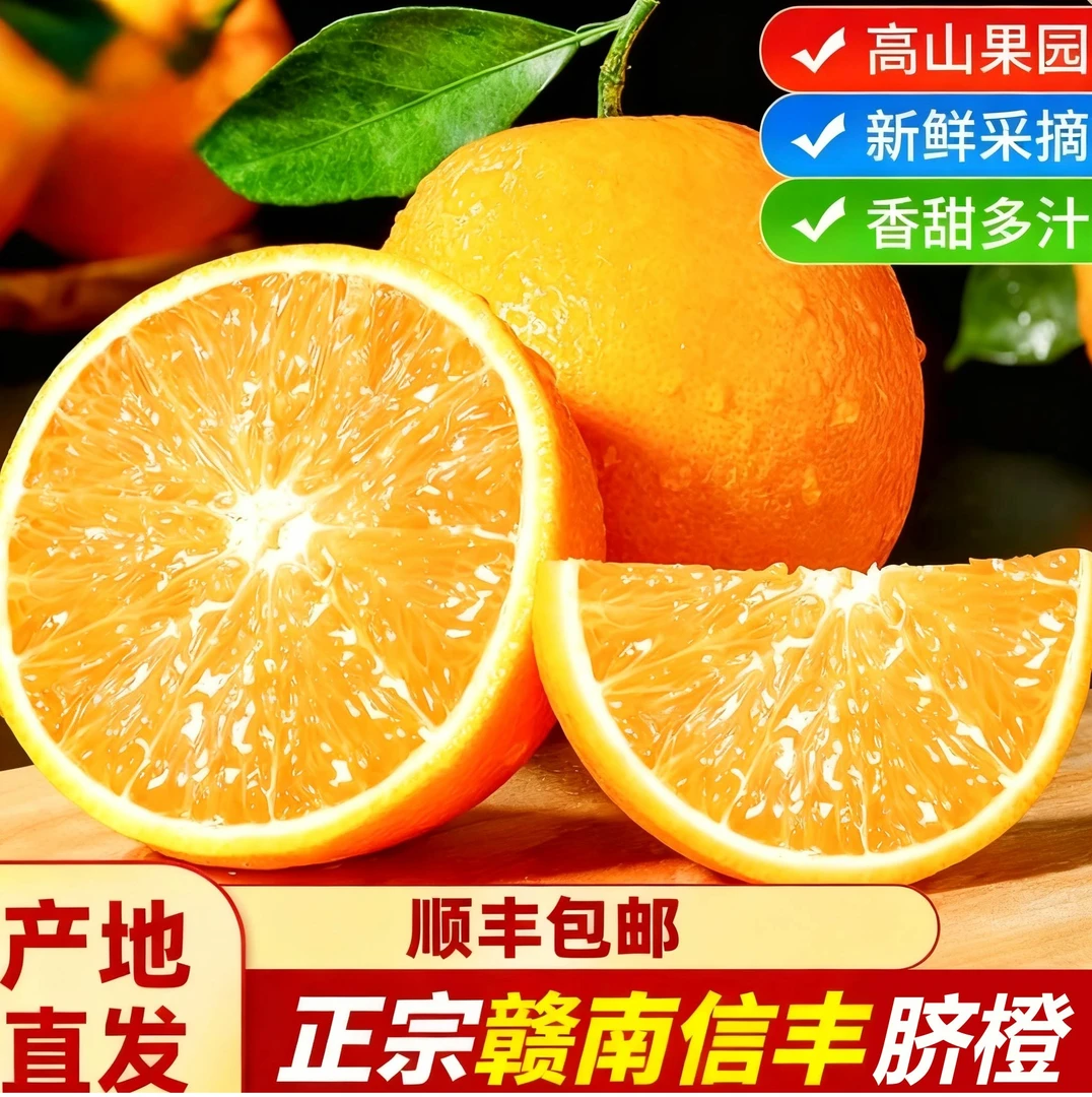 现采现摘正宗赣南信丰脐橙应季水果新鲜橙子赣南脐橙产地源头直发