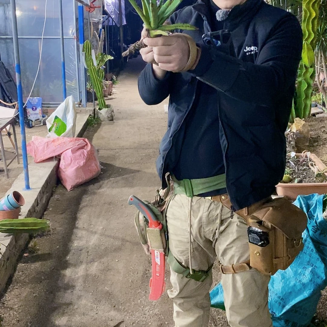 五****’八荒殿一颗5.5