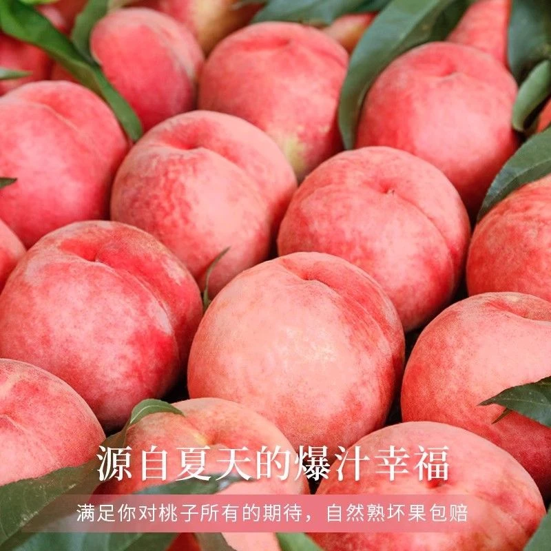 深州新鲜现摘高山鲜蜜桃脆软两吃应季水果甜蜜爆汁