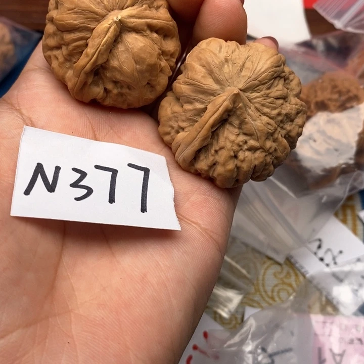 文玩核桃把件核桃