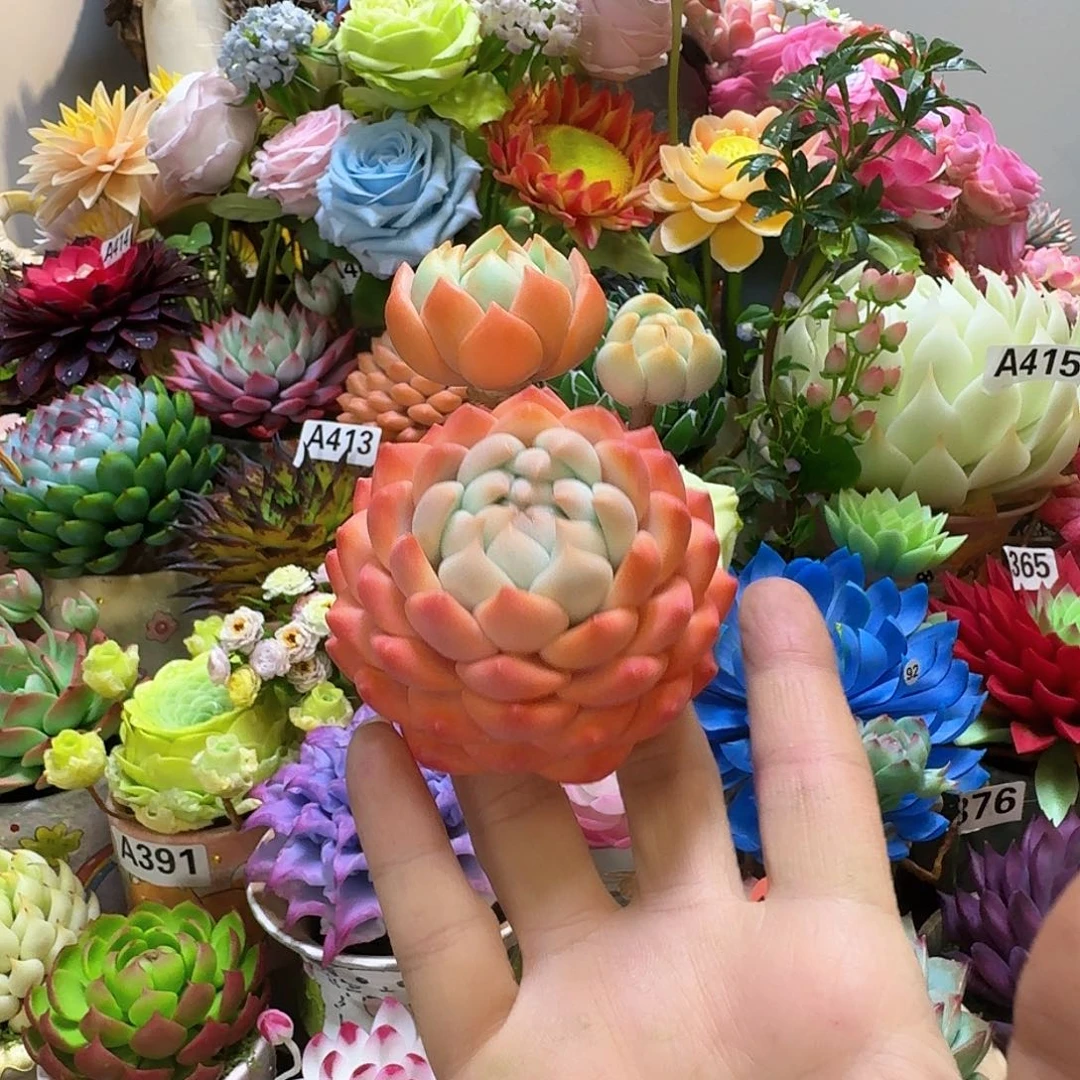 我们的生活是以自己的方式