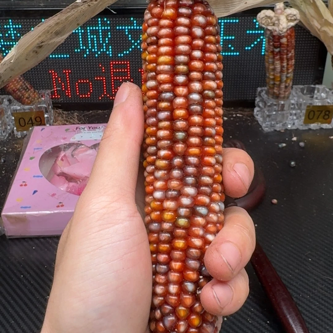 柏香籽/百香籽吊坠念*