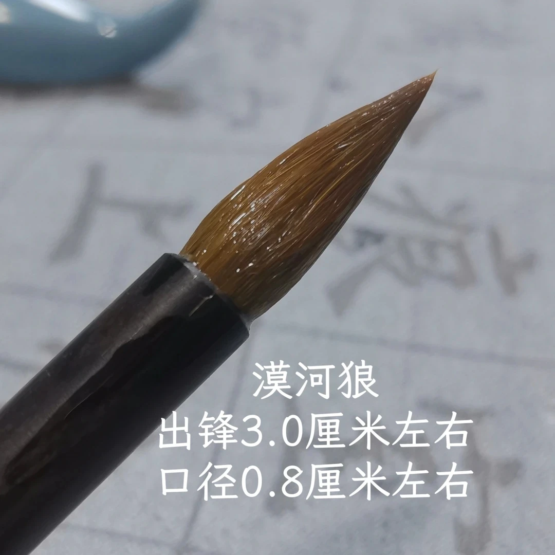 【漠河狼】出锋3.0 口径0.8 狼毫小楷  颜体 欧体二王