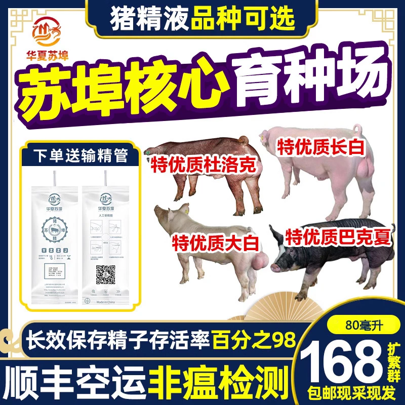 华夏苏埠猪精液长白杜洛克猪精子猪精大白猪人工配种猪精人工配种
