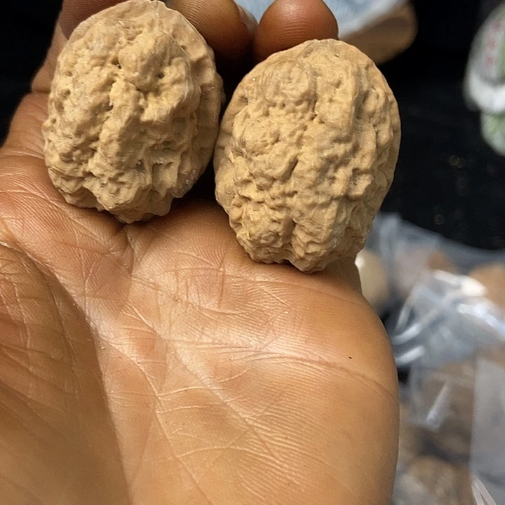 把件文玩核桃云南铁核桃基地101
