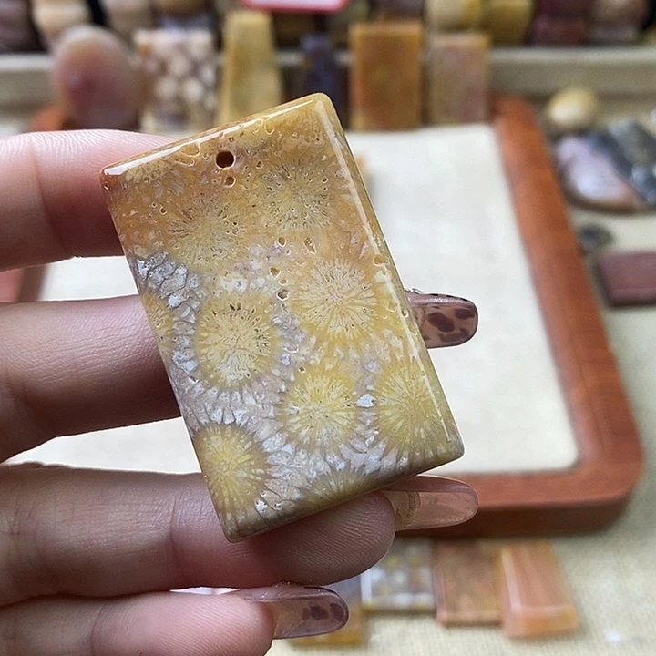 硅化珊瑚（珊瑚玉）未镶嵌颈饰