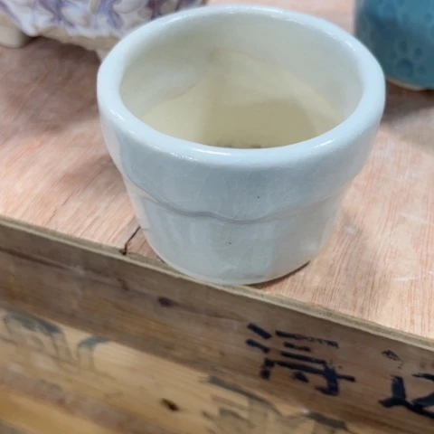 陶瓷满9包邮都是福利