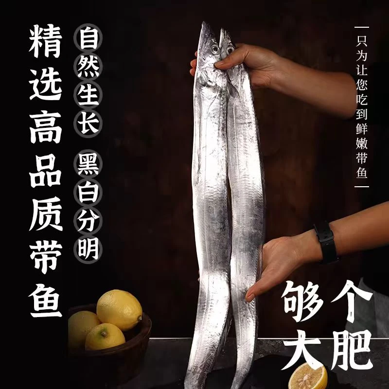 东海新鲜2号钓带鱼海鲜【不含冰净重三斤1500g】带鱼同城送