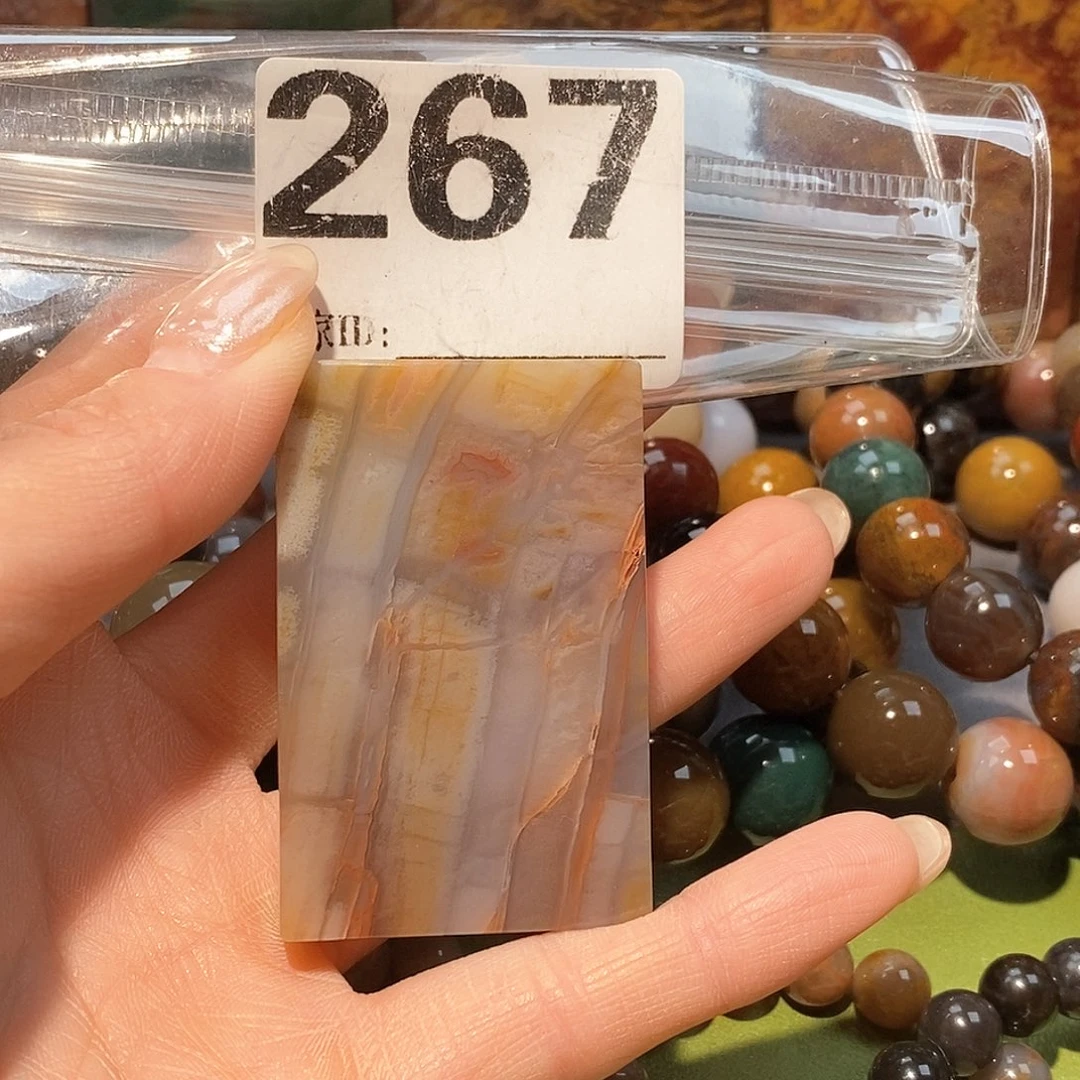 未镶嵌天然北票树化玉吊坠硅化玉