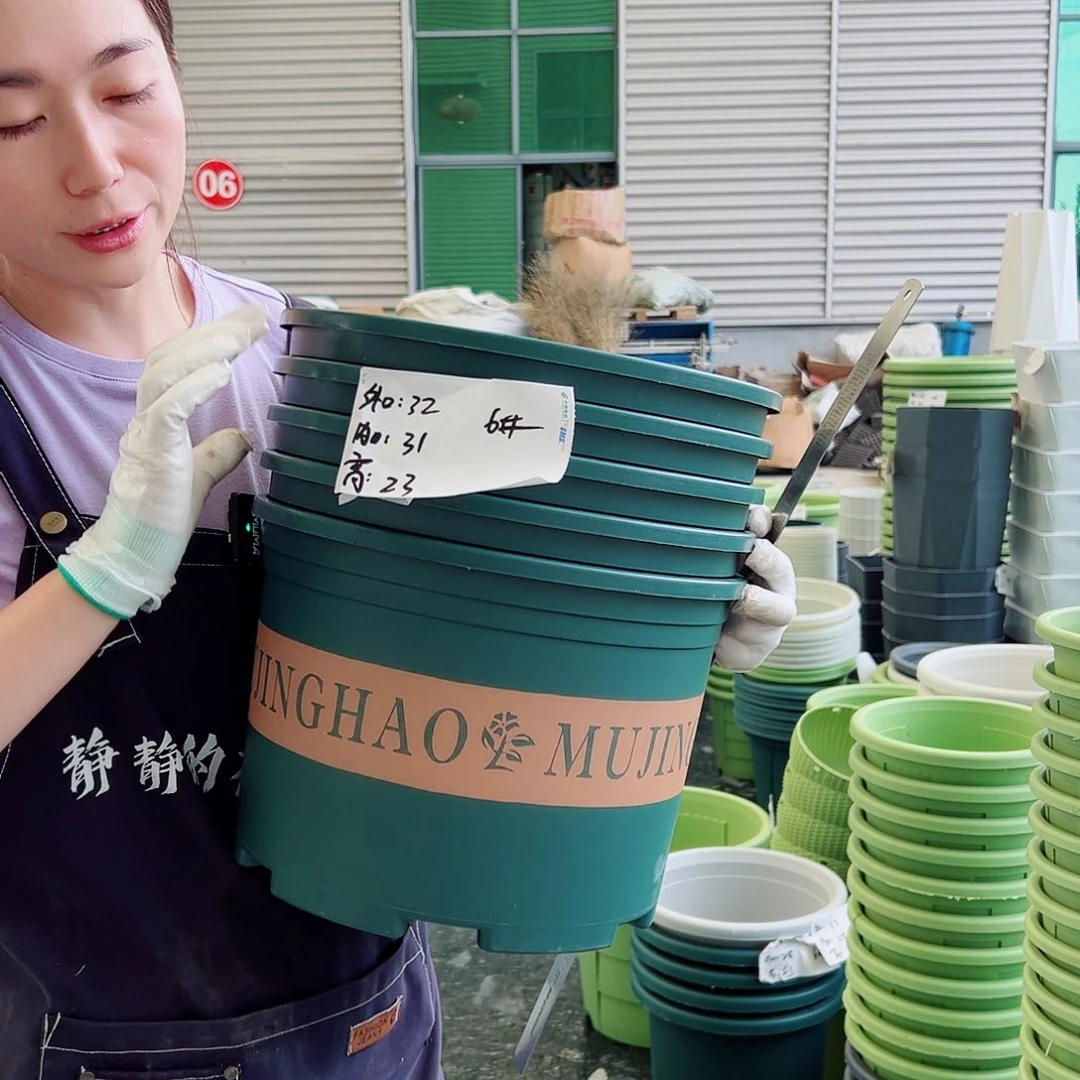 矮胖加仑6#墨绿5个无托