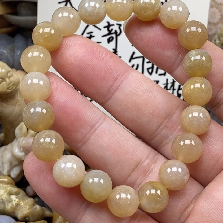 硅化珊瑚（珊瑚玉）未镶嵌颈饰