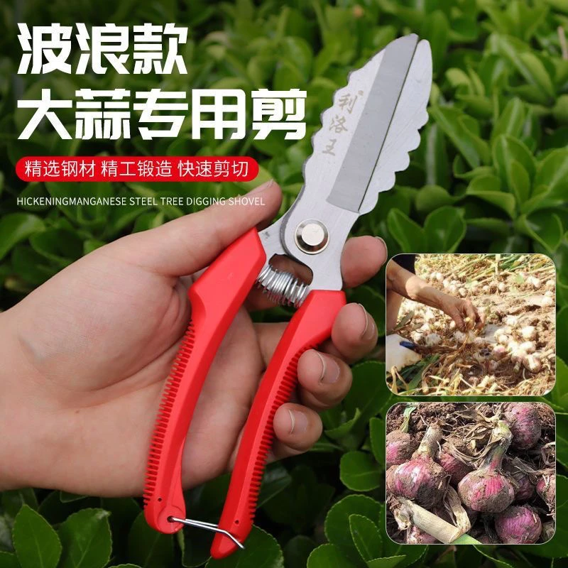 【厂家直销】大蒜专用剪子剪大蒜剪刀农用剪园艺剪刀剪大蒜的剪刀