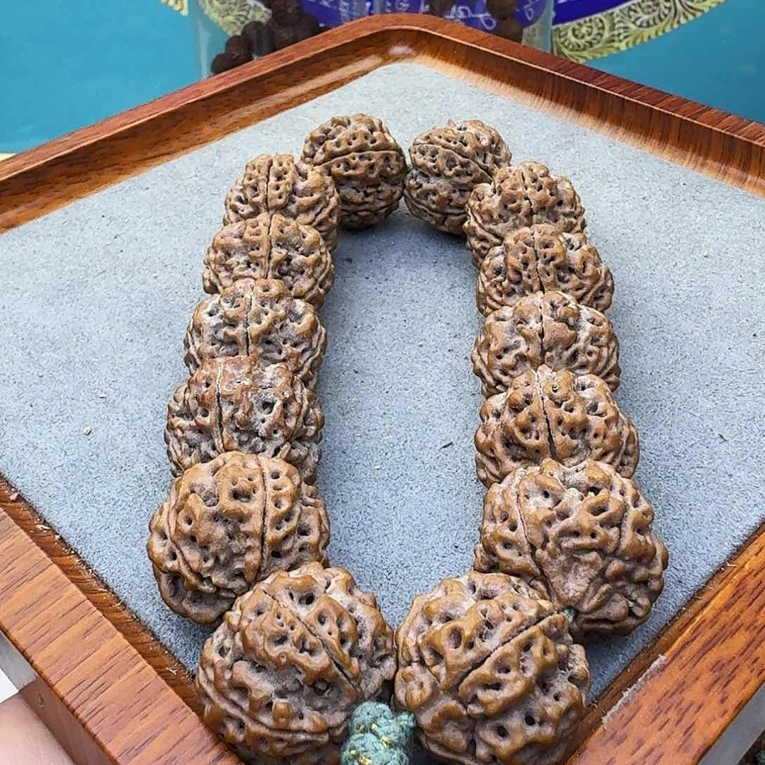 金刚菩提吊坠铁籽五星蜂王大粗筋