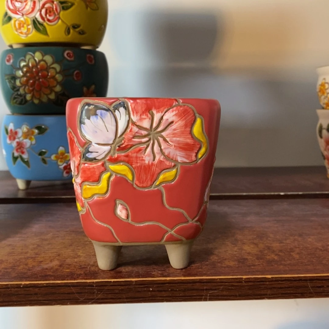 韩式多肉植物花色