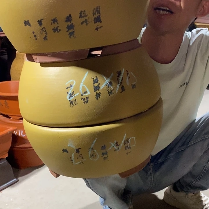 紫砂紫砂紫砂紫砂