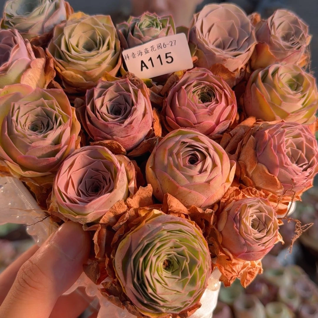 A115 亚克力花盒玫瑰组合