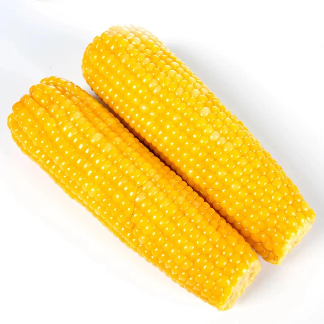 2024年东北甜糯黄玉米抽真空锁鲜8根