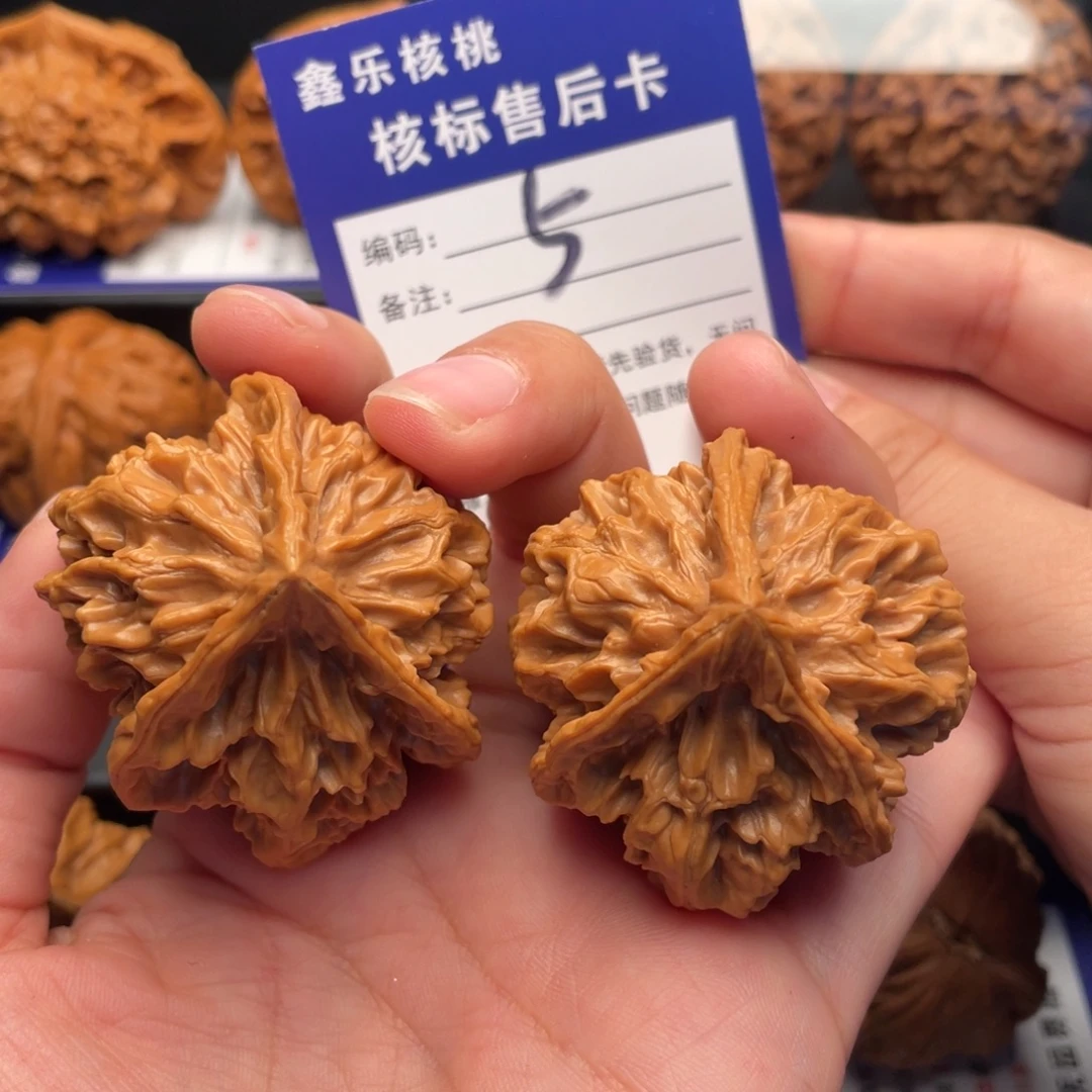 我***圣文玩核桃把件全品帝王生命之源