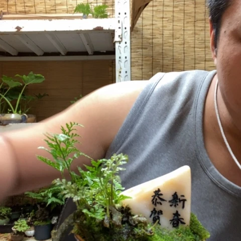 红陶一物一拍所见即所得259