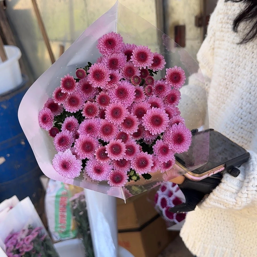 桃染多头基地直发不包邮