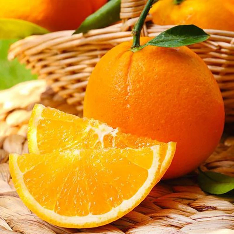 【尝鲜】正宗秭归伦晚脐橙新鲜现摘现发当季时令橙子水果3斤净重