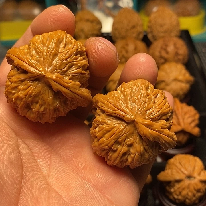 文玩核桃把件41加全品白狮子