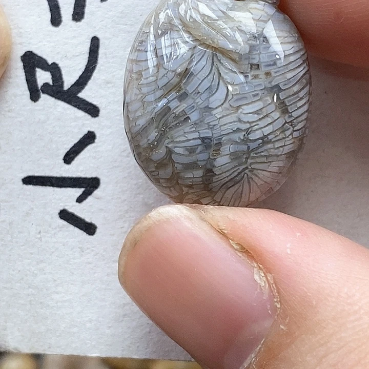 颈饰未镶嵌硅化珊瑚（珊瑚玉）