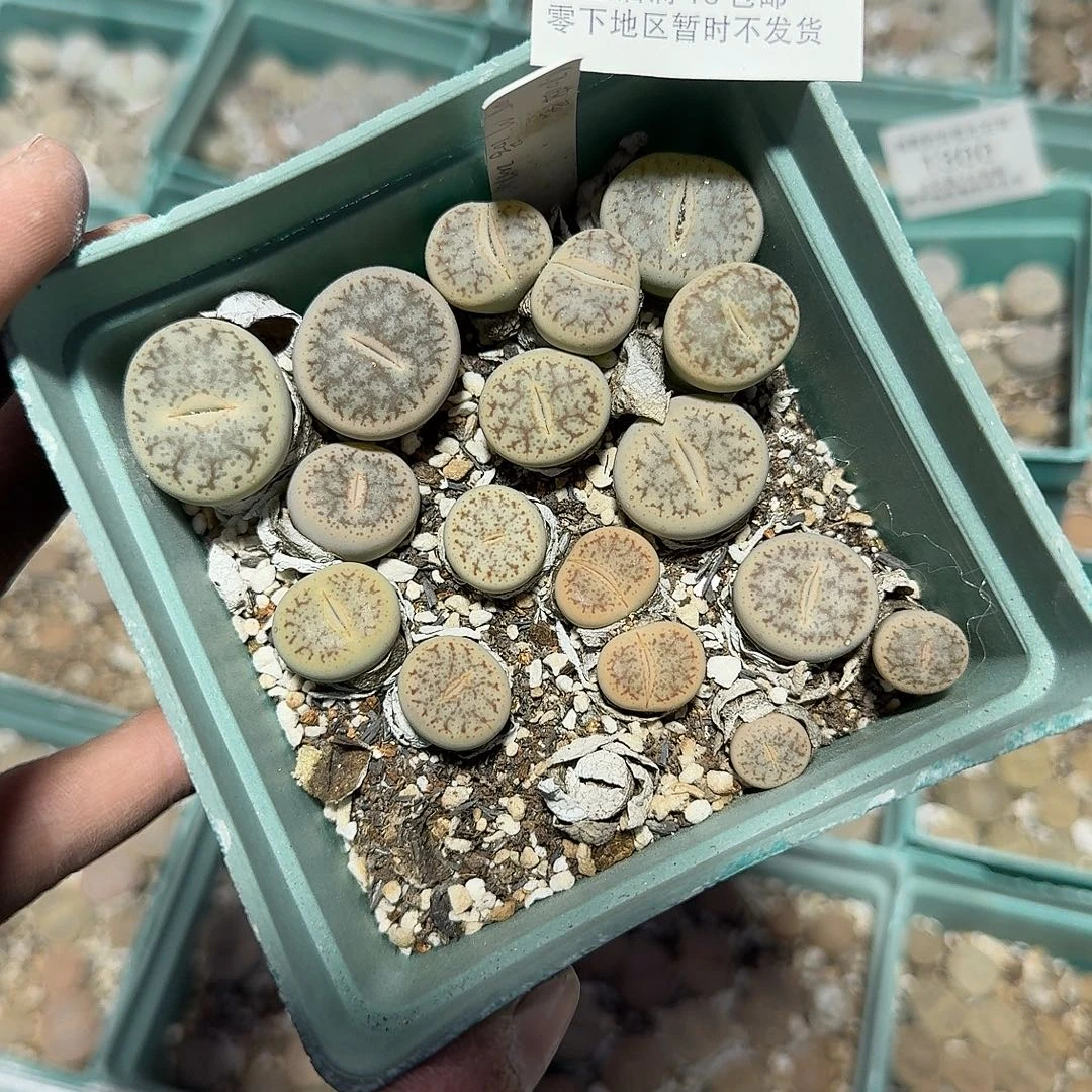 1301 哈哈哈哈哈哈哈哈哈