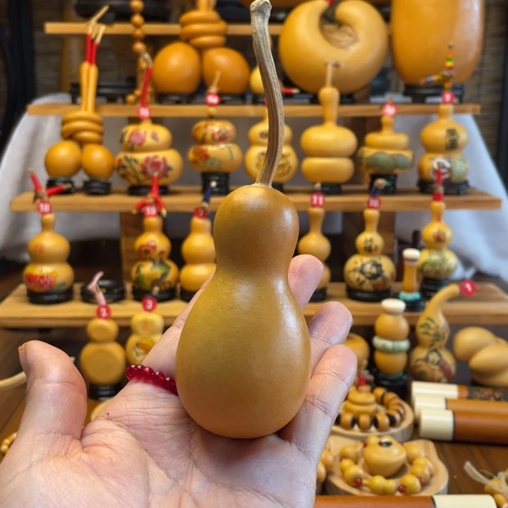 東*天然葫芦自然生长