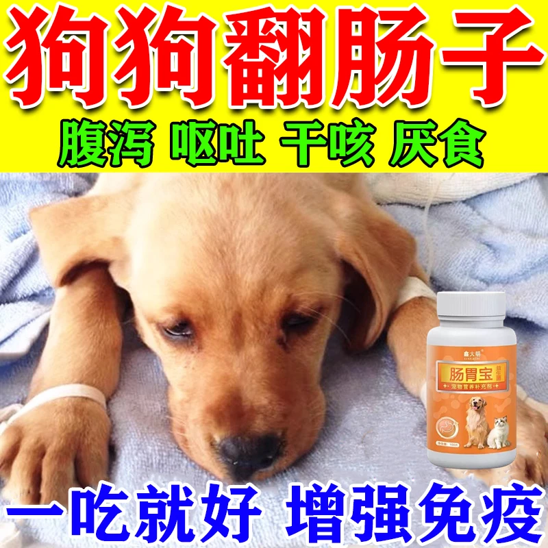 狗狗翻肠子犬瘟细小预防拉血便血呕吐腹泻吐黄水拉稀宠物肠胃宝
