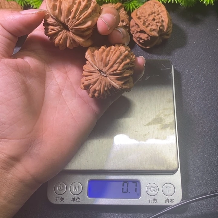 全品43四座楼喜欢拍